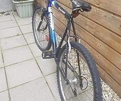 Vendor Bike
