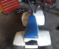 Lt50