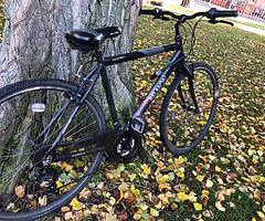 Bike - Image 5/7