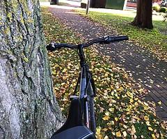 Bike - Image 7/7