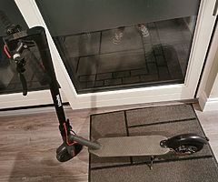 Alfwise m1 electric scooter