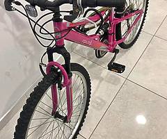 Pink Bicycle