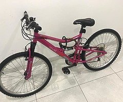 Pink Bicycle