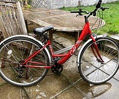 Ladies bike