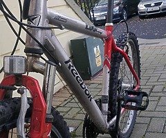 Reebok cycle