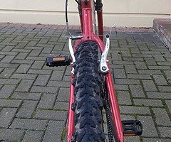 Reebok cycle