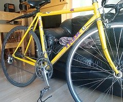 Road Bike for men