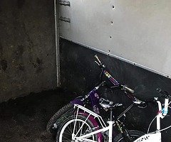 505 horsebox - Image 6/10