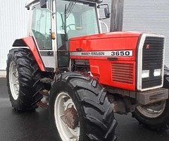 Massey Ferguson 3650