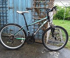 Orbita sprint line