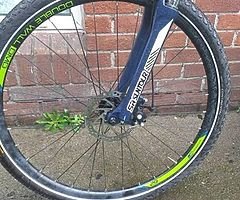 Bike - Image 4/6