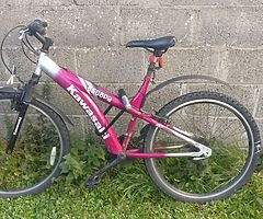 Kawasaki Escape Bike