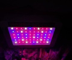€150 - Image 3/7