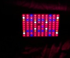 €150 - Image 5/7