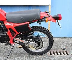 1982 Honda XLR 250R - Ride Along Video! - Image 9/10