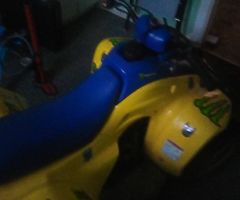 Good quad will make a good Xmas present back brake needs pads tats it