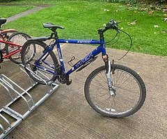 bicycle for sale - Image 5/6