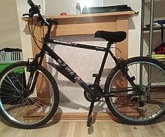 Bike for sale! Colect Walkinstown Dublin 12 - Image 10/10