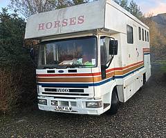 Horse truck rare 10t ford Iveco