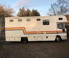 Horse truck rare 10t ford Iveco