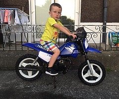 Pw 50 - Image 5/5