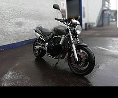 2000 Honda hornet 600