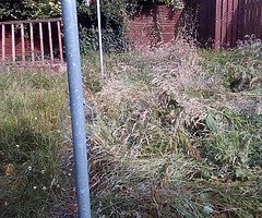 £20 - Image 6/10