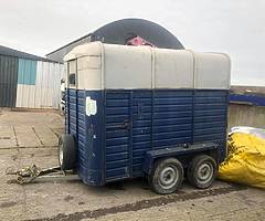 Horse box for sale