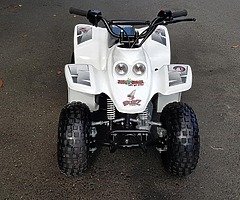 Quadzila buzz 50 kids quad demo model from muckanfun - Image 3/8