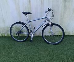 Raleigh tundra