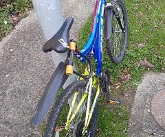Bicicleta