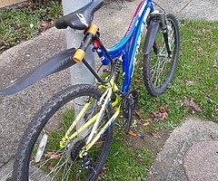 Bicicleta
