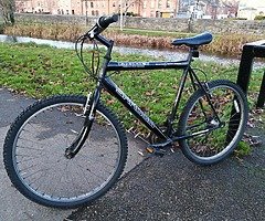 Mountain bike (bicycle)