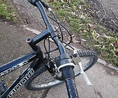 Mountain bike (bicycle) - Image 5/10