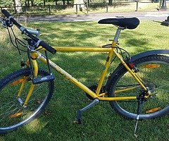 Yellow Scott mountain bike with locker