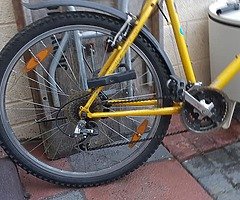 Yellow Scott mountain bike with locker