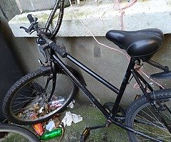 Bicycle