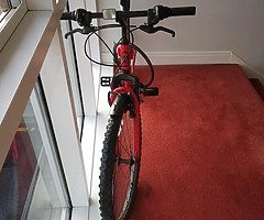 Cross Bikes