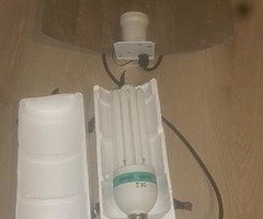 For bulb and led - Image 5/7