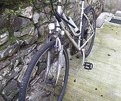Ladies bike