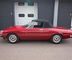 Classic Alfa Romeo Spider