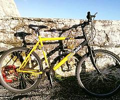 Bike(Raleigh bicycle)