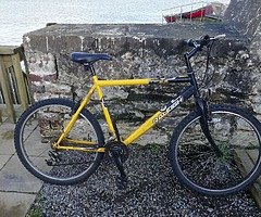 Bike(Raleigh bicycle)