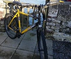 Bike(Raleigh bicycle)