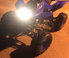 110cc mad cat MINT 