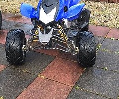 110cc mad cat MINT 