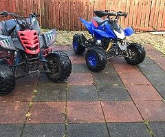 110cc mad cat MINT  - Image 3/4
