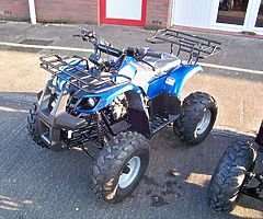 Last 1. UTILITY QUAD 125cc ¾ size Auto with reverse Farm Quad (CE), Fat Boi tyres Kids Childs