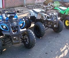 Last 1. UTILITY QUAD 125cc ¾ size Auto with reverse Farm Quad (CE), Fat Boi tyres Kids Childs - Image 4/5