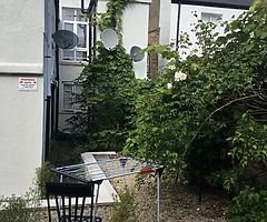 Gardener /Handyman - Image 4/10